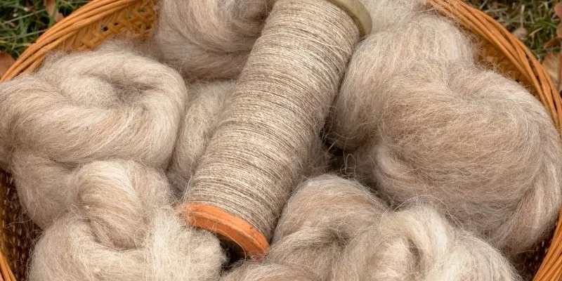 Natural fibres